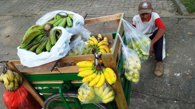 Uang Tabungan Digondol Penipu Kakek Penjual  Pisang Ini 